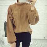 Long Sleeves Simple Casual Chic T Shirt Sweatshirt