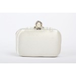 White Gold Pearls Diamante Rectangular Fancy Evening Clutch Bag Purse Box