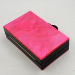 Pink Fox Chipmunk Acrylic Rectangular Evening Clutch Purse Jewelry Box
