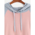 Pink Blue Pastel Long Sleeves Hoodie Hooded Sweatshirt
