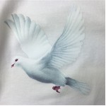 White Black Blind Folded Lady Dove Round Neck Short Sleeves Funky Mens T-Shirt