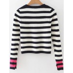 Black White Stripes Zebra Sleeve Crop Knitwear